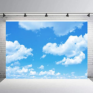 Riyidecor Polyester Fabric Cloud Backdrop White and Blue Scenery Clear Sky Photography Background Fresh 5Wx3H Feet Decoration Celebration Props Party Photo Shoot