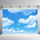 Riyidecor Polyester Fabric Cloud Backdrop White and Blue Scenery Clear Sky Photography Background Fresh 5Wx3H Feet Decoration Celebration Props Party Photo Shoot