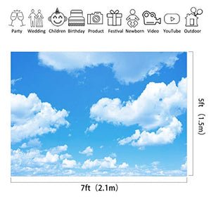 Riyidecor Polyester Fabric Cloud Backdrop White and Blue Scenery Clear Sky Photography Background Fresh 7Wx5H Feet Decoration Celebration Props Party Photo Shoot
