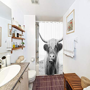 Riyidecor Small Stall Funny Bull Shower Curtain 36Wx72H Inch Highland Cow Animal Wildlife Funny Cute Sketch Milk Waterproof Fabric Modern Fashion Polyester Bathroom Decor 7 Pack Plastic Hooks