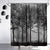 Riyidecor Fabric Forest Dark Mens Black Shower Curtain Set for Bathroom 72Wx72H Inch Nature Gothic Tree Winter Foggy Woodland Bath Curtain Outdoor Bathtub Accessories Art Decor 12 PCS Plastic Hook