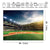 Riyidecor Green Baseball Field Backdrop Fabric Polyester Stadium 8Wx6H Feet Photography Background Art Booth for Children Decorations Birthday Festival Event Props Party Photo Studio Photo Shoot
