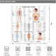 Riyidecor Human Body Shower Curtain Illustration Decor Bathroom Polyester Waterproof 72Wx72H Inch with Plastic Hooks 12 Pack