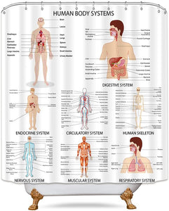 Riyidecor Human Body Shower Curtain Illustration Decor Bathroom Polyester Waterproof 72Wx72H Inch with Plastic Hooks 12 Pack