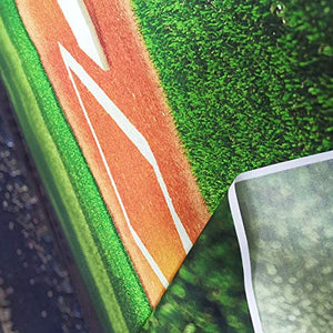 Riyidecor Green Baseball Field Backdrop Fabric Polyester Stadium 7Wx5H Feet Photography Background Art Fabric Booth for Children Decorations Birthday Festival Event Props Party Photo Studio Shoot